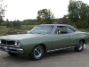 coronet500x550